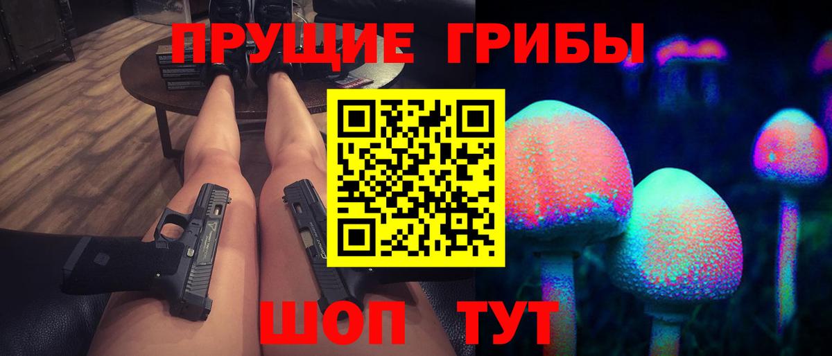 Галлюциногенные грибы Cubensis  Псилоцибиновые грибы Cubensis  Брянск  Вход с VPN 